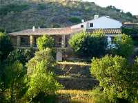 Bed & Breakfast Los Establos Bed & Breakfast Los Establos