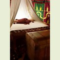 A romantic holiday destination in our fully equipped rental tent La Jaima