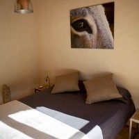 Guestroom B&B