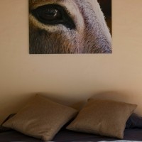 Country style decorations