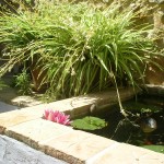 Teich Patio Refugio Marnes, boutique bed and breakfast Spanien