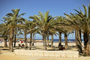 Strand Denia, Städte an der Costa Blanca