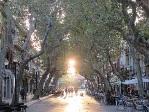 Städte an der Costa Blanca, Marques de Campo Denia