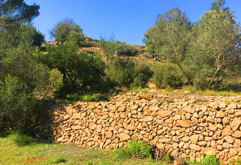 landschaftspflege bei Agritourismus Refugio Marnes 