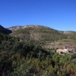 Im Bed and Breakfast Alicante wohnst du mitten in der Natur