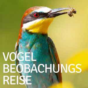 vogel-beobachtungsreise