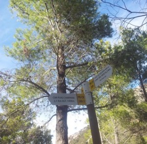 Signs Puig Campana, during hiking tours Spain