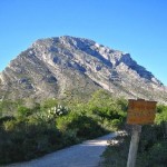 Birding sites Valencia