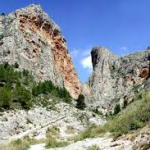 Birding sites alicante, a great spot for observing birds in Spain