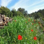 Hiking trip spain, nature on a Stroll arround Refugio Marnes