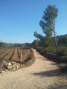 Hiking holidays Spain, Llíber, Jalón