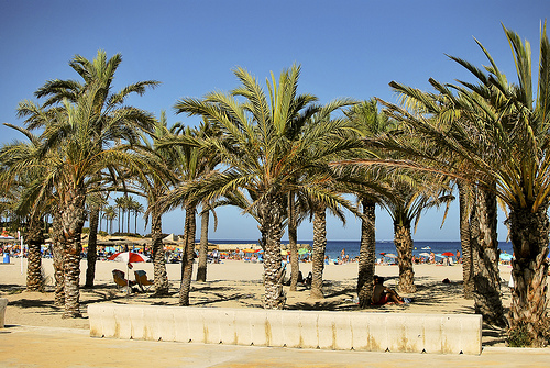 Beach life, Denia, small cities costa blanca