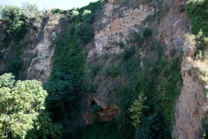 birding site spain, vall de lliber