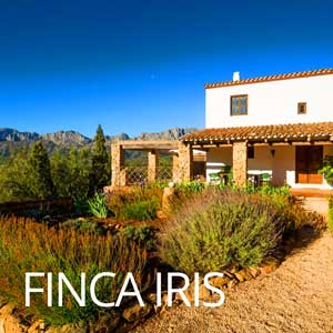 Finca Iris a great holiday home in the spanish countryside 