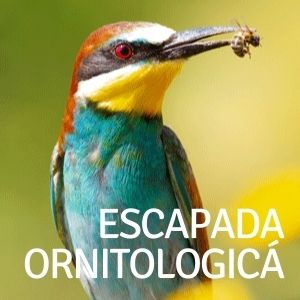 Escapasas para los que les gusta la ornitologia