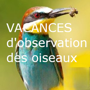 vacances ornithologiques en Espagne