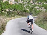 Bicicletas en Pinos