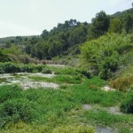 wandelreizen Spanje, wandeling door bedding Gorgos rivier
