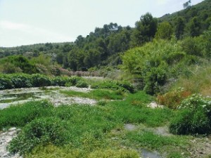 wandelreizen Spanje, wandeling door bedding Gorgos rivier