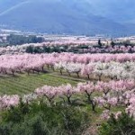 Wandelvakantie Alicante, de Jalon vallei, Lliber en Jalon