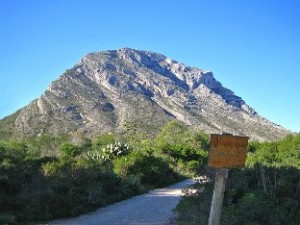 birding Spanje, vogels kijken rond de montgo