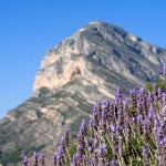 wandelen valencia, de montgo zichtbaar vanaf cabo san Antonio