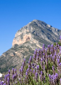 wandelen valencia, de montgo zichtbaar vanaf cabo san Antonio