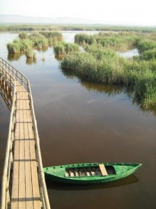 Bootje, vogelgebied Alicante