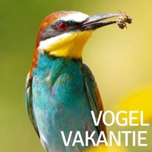 Vogel vakantie in Spanje bij Refugio Marnes 